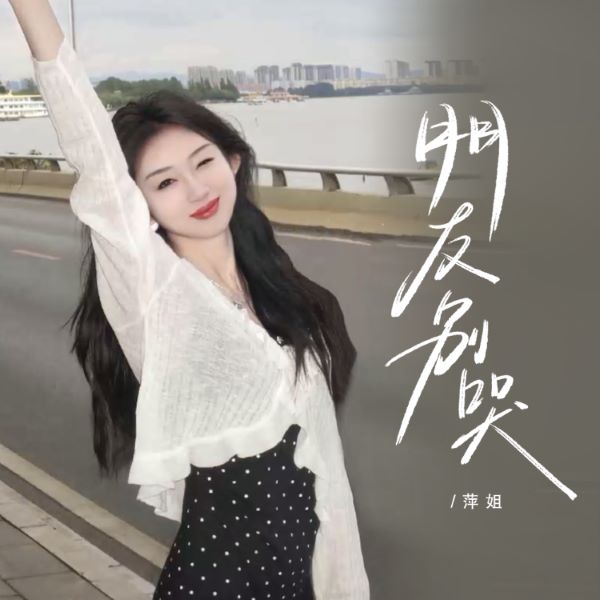 萍姐《朋友别哭》[FLAC/MP3]夸克网盘下载