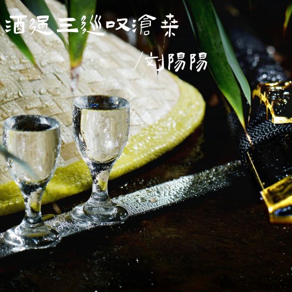 刘阳阳《酒过三巡叹沧桑》[FLAC/MP3]夸克网盘下载