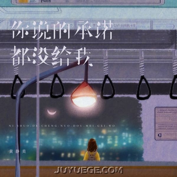 黄静美《你说的承诺都没给我》[FLAC/MP3]夸克网盘下载