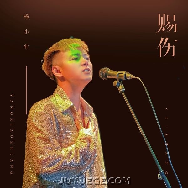 杨小壮《赐伤》[FLAC/MP3]夸克网盘下载