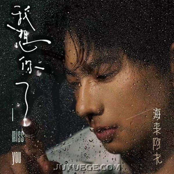 海来阿木《我想你了》[FLAC/MP3]夸克网盘下载