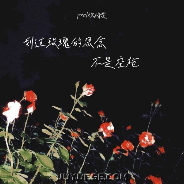 pro、徐靖雯《划过玫瑰的思念不是空枪》[FLAC/MP3]夸克网盘下载