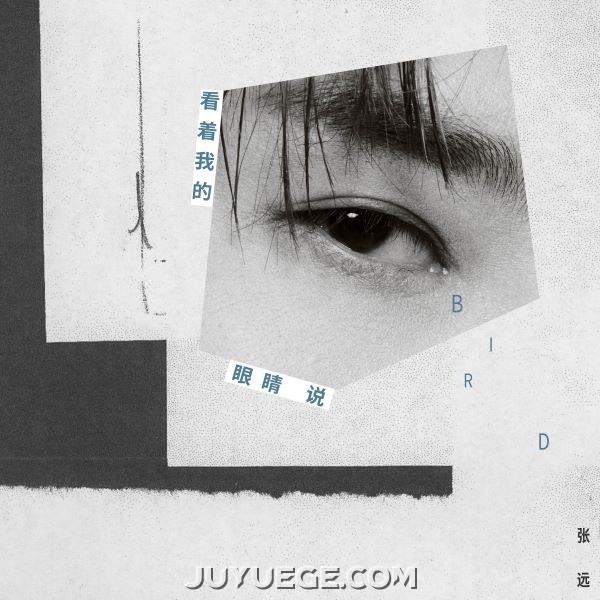 张远《看着我的眼睛说》[FLAC/MP3]夸克网盘下载
