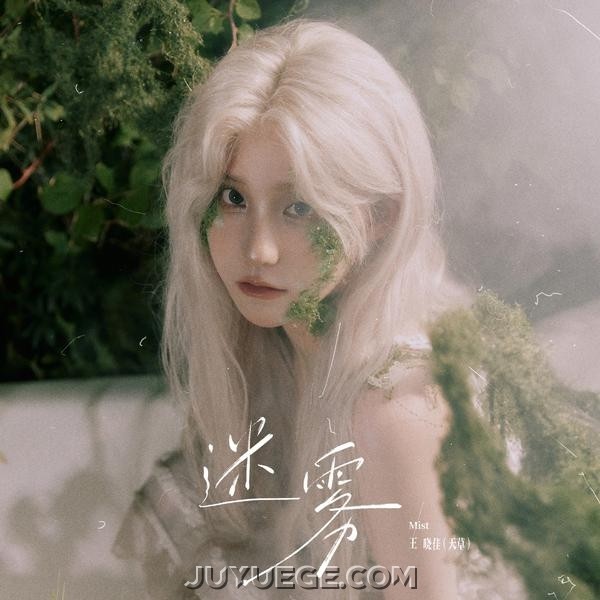 王天草《迷雾》[FLAC/MP3]夸克网盘下载