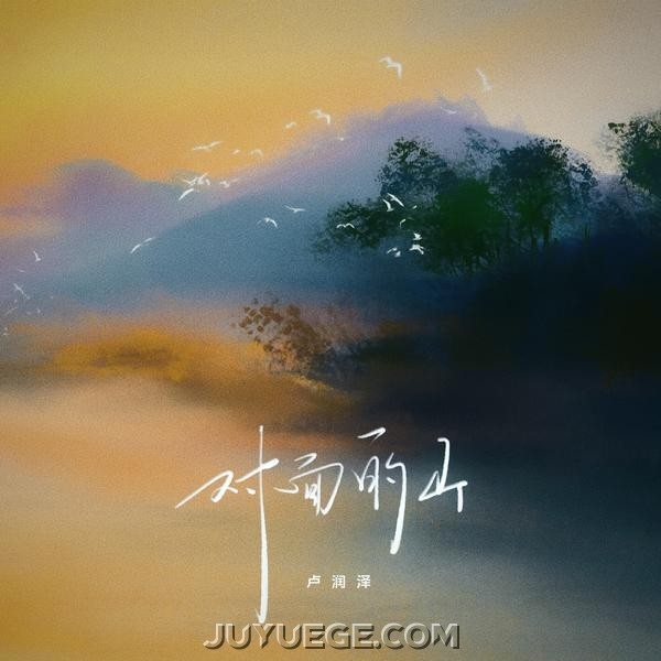 卢润泽《对面的山》[FLAC/MP3]夸克网盘下载