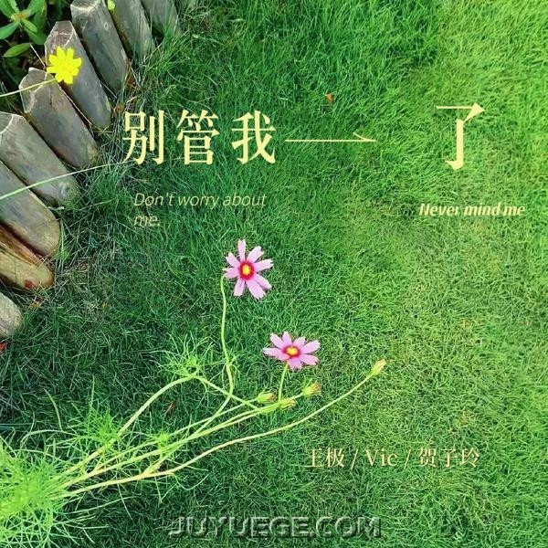 Vic、王极、贺子玲《别管我了》[FLAC/MP3]夸克网盘下载