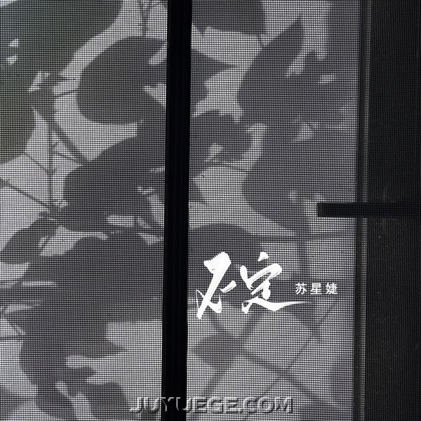 苏星婕《不定》[FLAC/MP3]夸克网盘下载