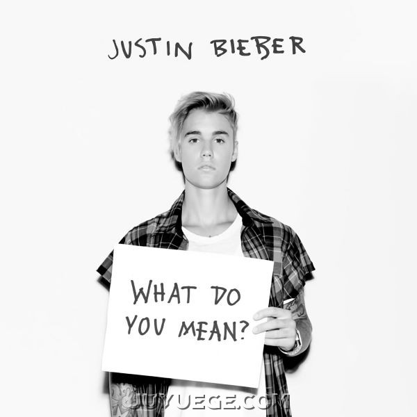 Justin Bieber《What Do You Mean?》[FLAC/MP3]夸克网盘下载