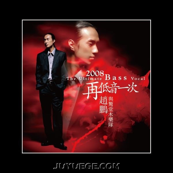 赵鹏专辑《2008再低一次》[FLAC/MP3]夸克网盘下载
