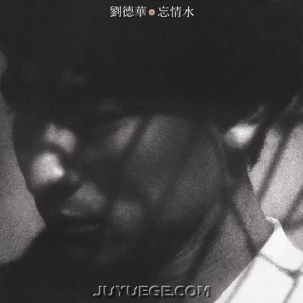 刘德华专辑《忘情水》[FLAC/MP3]夸克网盘下载