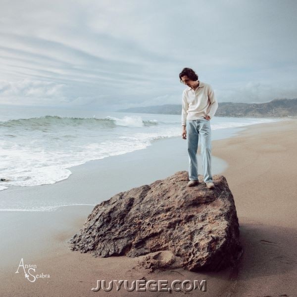 Anson Seabra《Ocean of Tears》[FLAC/MP3]夸克网盘下载
