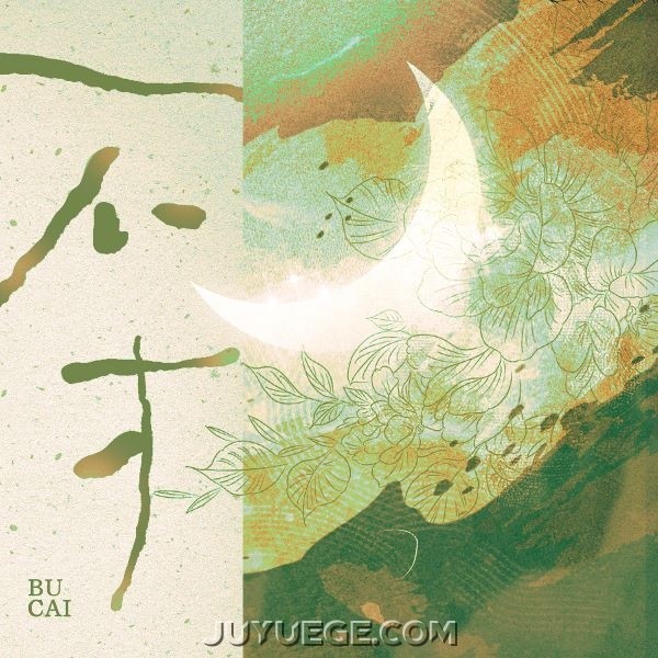 王秋实《不才》[FLAC/MP3]夸克网盘下载