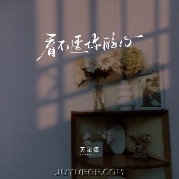苏星婕《看不透你的心》[FLAC/MP3]夸克网盘下载