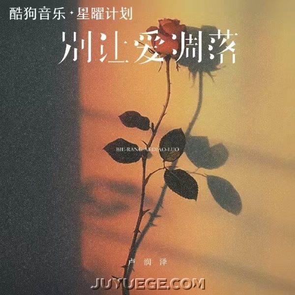 卢润泽《别让爱凋落》[FLAC/MP3]夸克网盘下载