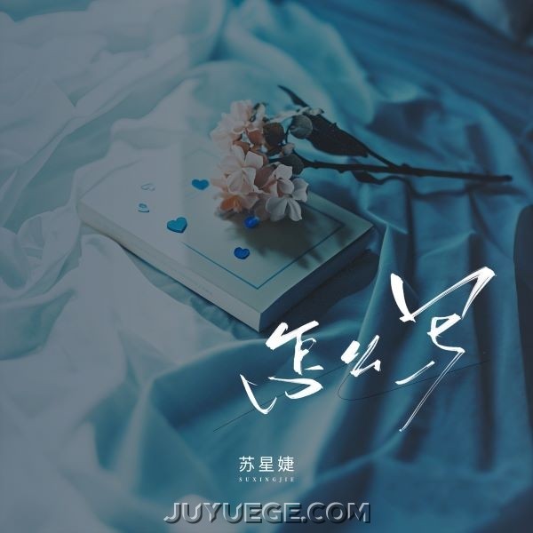 苏星婕《怎么写》[FLAC/MP3]夸克网盘下载