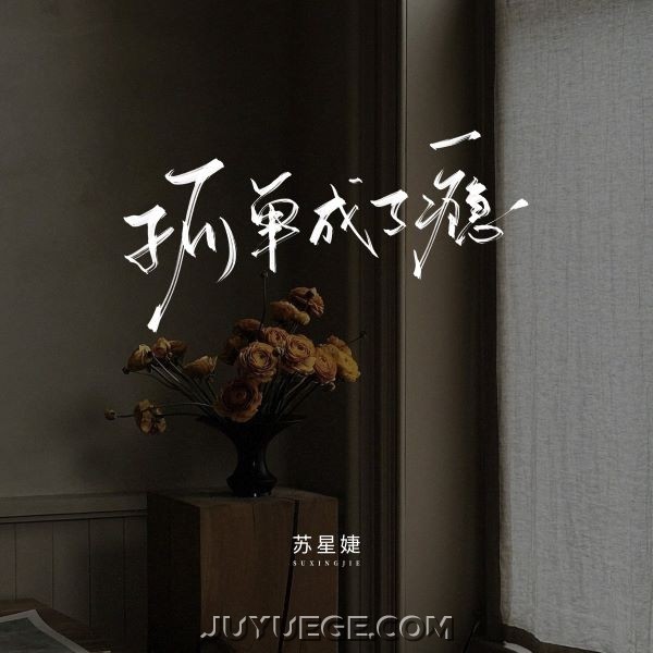 苏星婕《孤单成了瘾》[FLAC/MP3]夸克网盘下载
