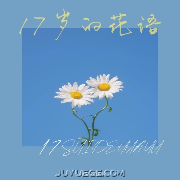LAZY懒散男孩《十七岁的花语》[FLAC/MP3]夸克网盘下载