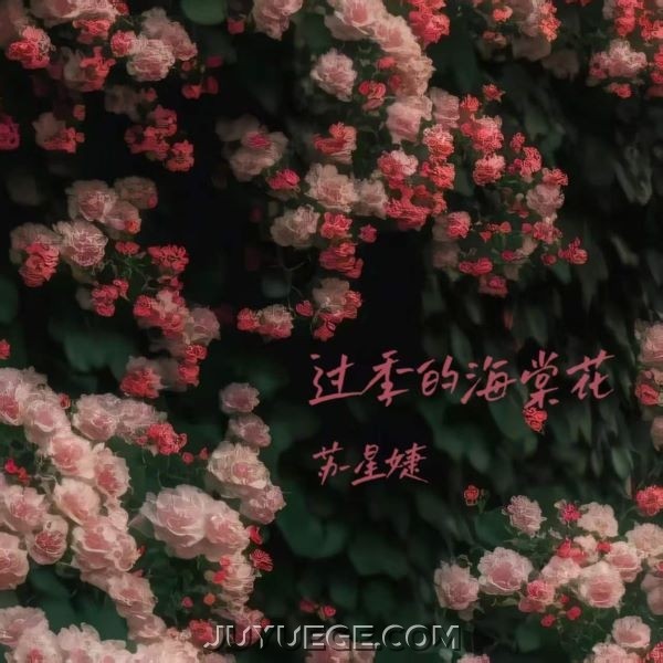 苏星婕《过季的海棠花》[FLAC/MP3]夸克网盘下载