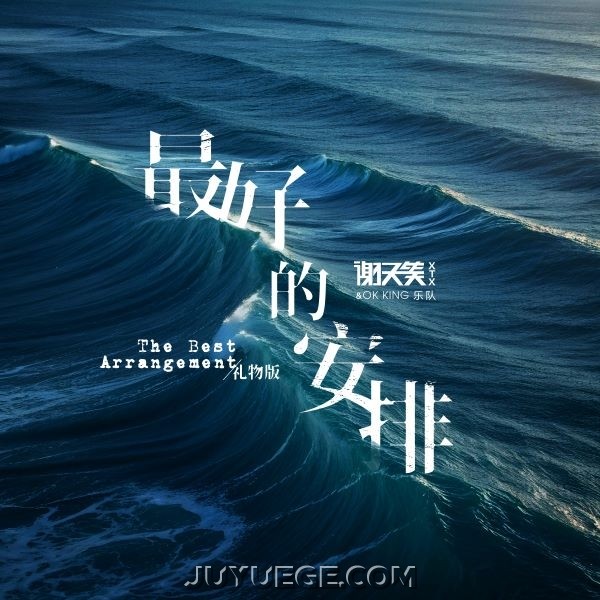 谢天笑《最好的安排》[FLAC/MP3]夸克网盘下载