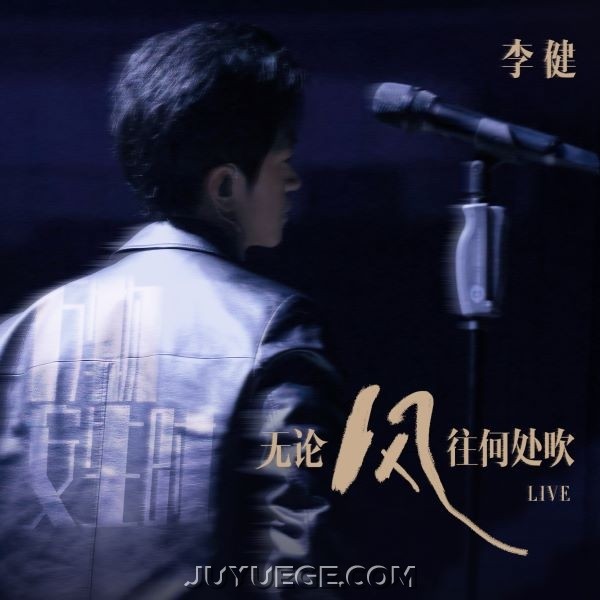 李健《无论风往何处吹 (live)》[FLAC/MP3]夸克网盘下载