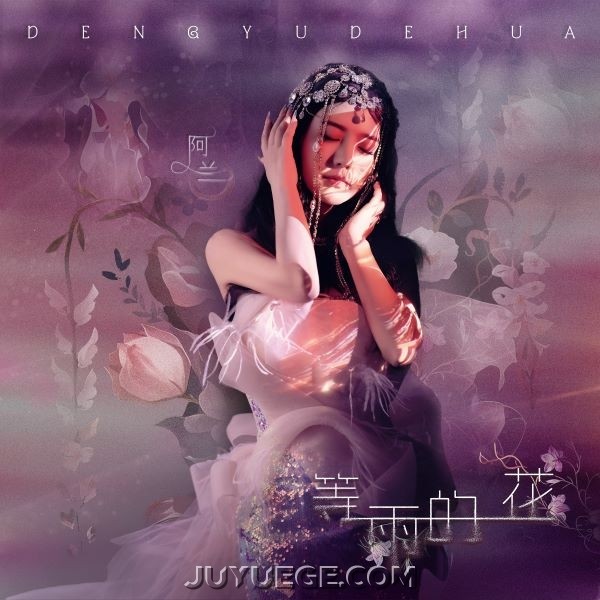 阿兰《等雨的花》[FLAC/MP3]夸克网盘下载