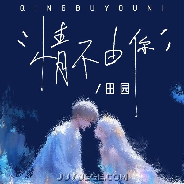 田园《情不由你》[FLAC/MP3]夸克网盘下载