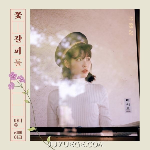 李知恩（IU）专辑《꽃갈피 둘》[FLAC/MP3]夸克网盘下载
