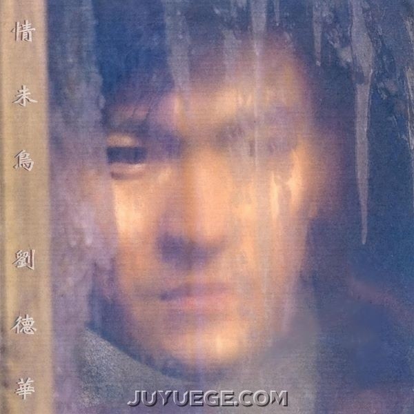 刘德华专辑《情未鸟》[FLAC/MP3]夸克网盘下载