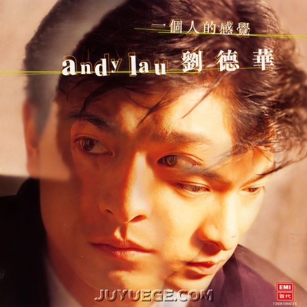 刘德华专辑《一个人的感觉》[FLAC/MP3]夸克网盘下载