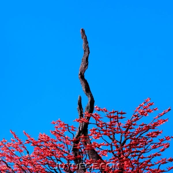 Yorushika（ヨルシカ）《へび》[FLAC/MP3]夸克网盘下载