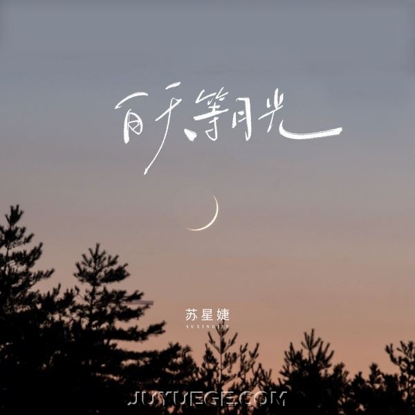 苏星婕《白天等月光》[FLAC/MP3]夸克网盘下载