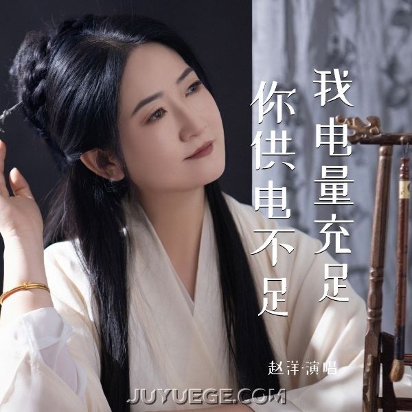 赵洋《我电量充足你供电不足》[FLAC/MP3]夸克网盘下载