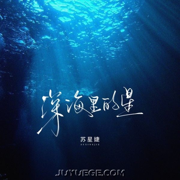 苏星婕《深海里的星》[FLAC/MP3]夸克网盘下载