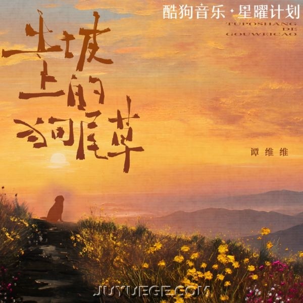 谭维维《土坡上的狗尾巴草》[FLAC/MP3]夸克网盘下载