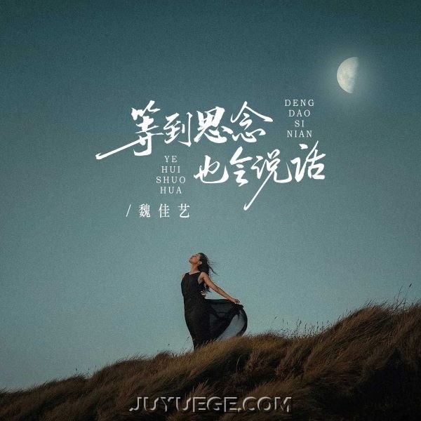 魏佳艺《等到思念也会说话》[FLAC/MP3]夸克网盘下载