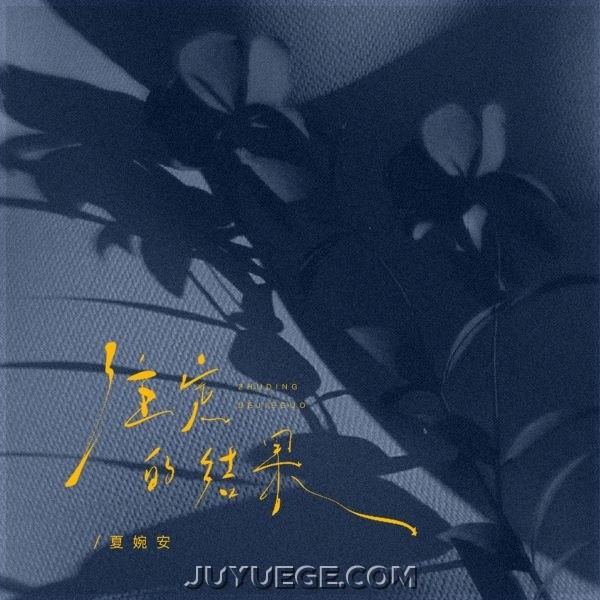夏婉安《注定的结果》[FLAC/MP3]夸克网盘下载