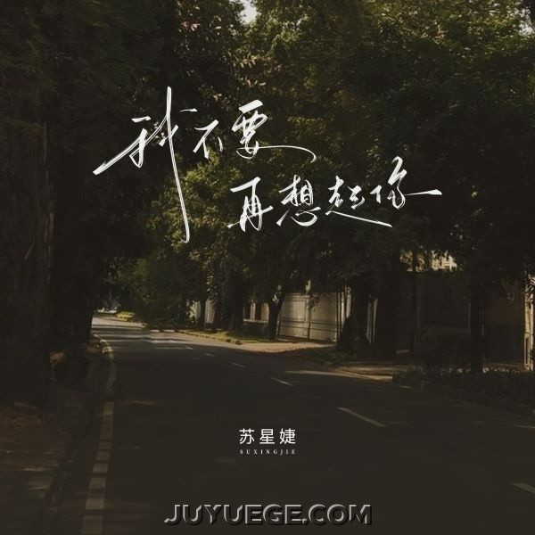 苏星婕《我不要再想起你》[FLAC/MP3]夸克网盘下载