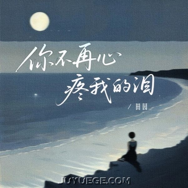 田园《你不再心疼我的泪》[FLAC/MP3]夸克网盘下载