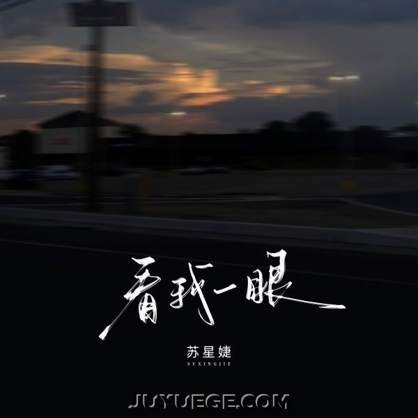 苏星婕《看我一眼》[FLAC/MP3]夸克网盘下载