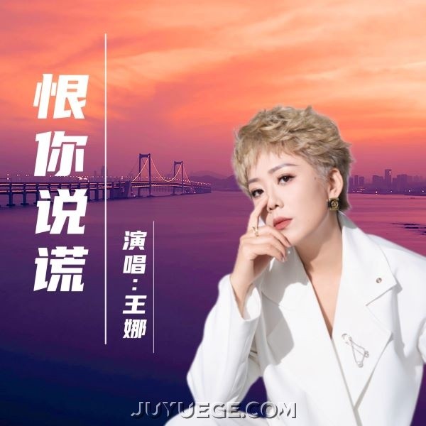 王娜《恨你说谎》[FLAC/MP3]夸克网盘下载