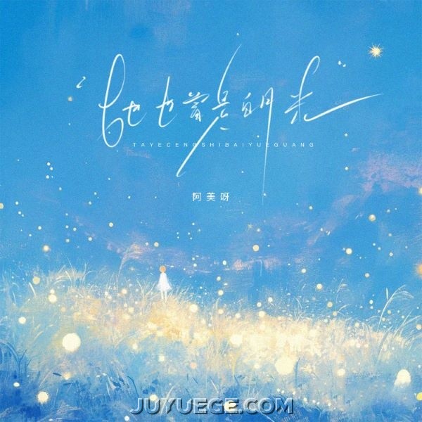 阿美呀《她也曾是白月光》[FLAC/MP3]夸克网盘下载