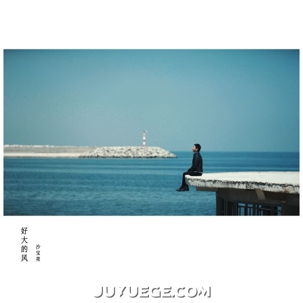 沙宝亮《好大的风》[FLAC/MP3]夸克网盘下载