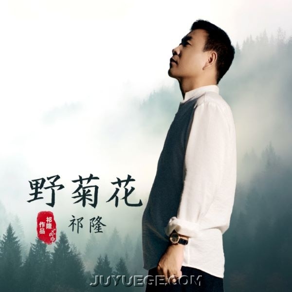 祁隆《野菊花》[FLAC/MP3]夸克网盘下载