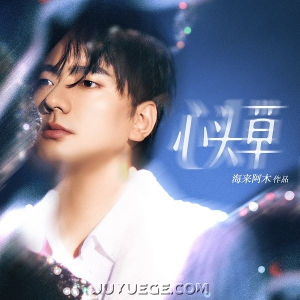 海来阿木《心头草》[FLAC/MP3]夸克网盘下载