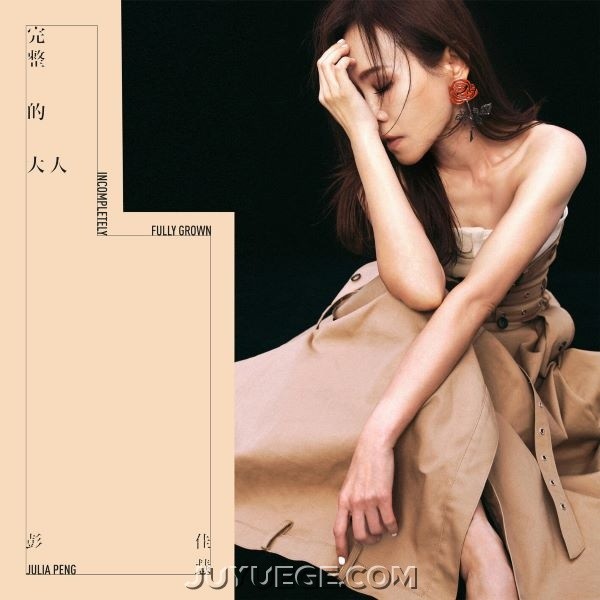 彭佳慧专辑《完整的大人》[FLAC/MP3]夸克网盘下载