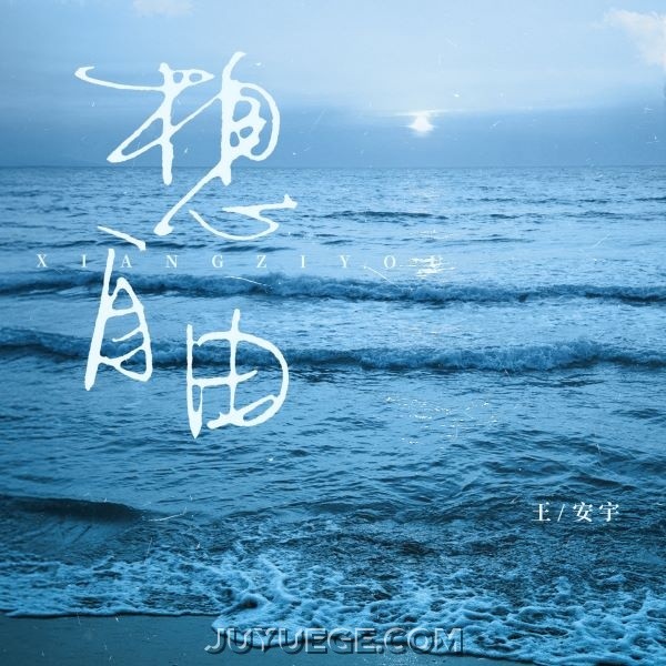 王安宇《想自由》[FLAC/MP3]夸克网盘下载