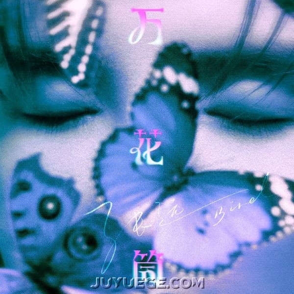 张远《万花筒》[FLAC/MP3]夸克网盘下载