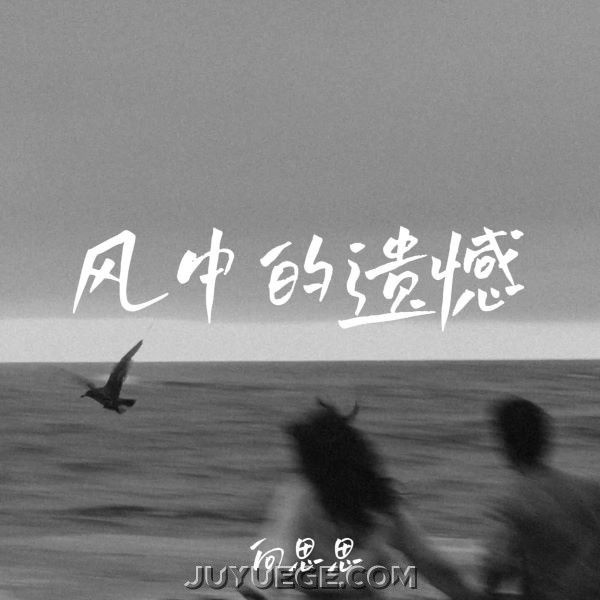 向思思《风中的遗憾 (女版)》[FLAC/MP3]夸克网盘下载