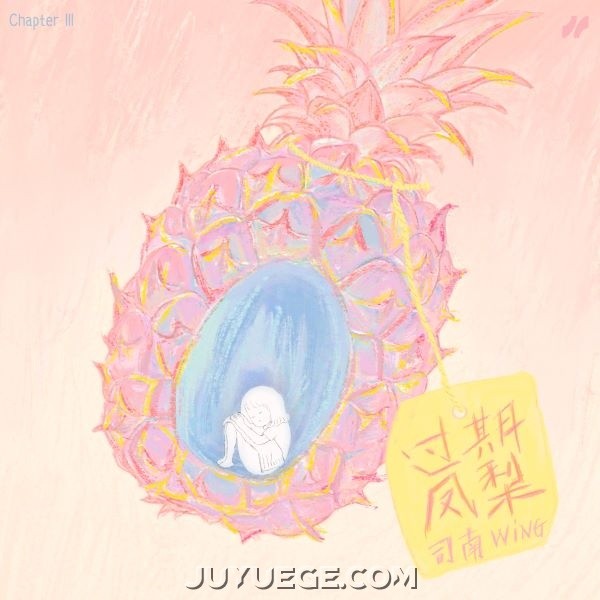 司南《过期凤梨》[FLAC/MP3]夸克网盘下载
