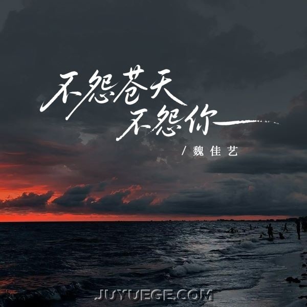 魏佳艺《不怨苍天不怨你》[FLAC/MP3]夸克网盘下载